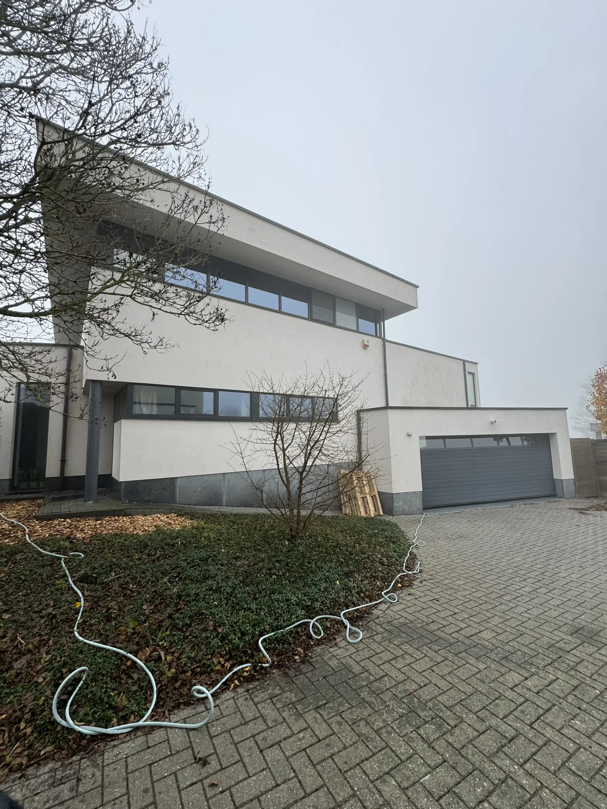 Vervuilde crepi gevel met groene aanslag voor reiniging in Brugge